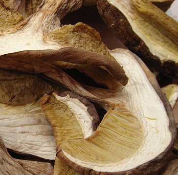 云南黑荞巴干野生牛肝菌