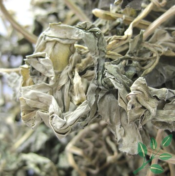 优质零陵香料黄零草熏香