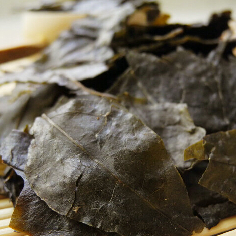 云南毛冬青茶老叶毛冬青