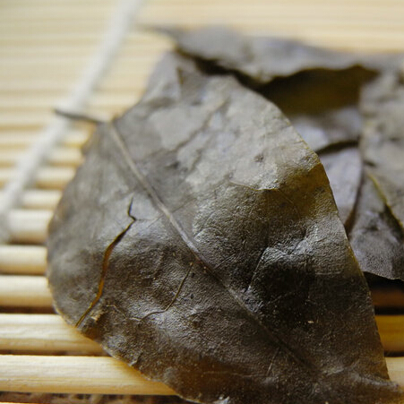 云南毛冬青茶老叶毛冬青