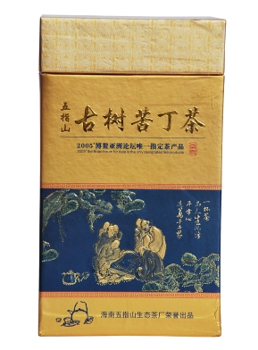 五指山苦丁茶古树苦丁茶