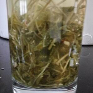 广西藤茶巴马藤茶白莓茶