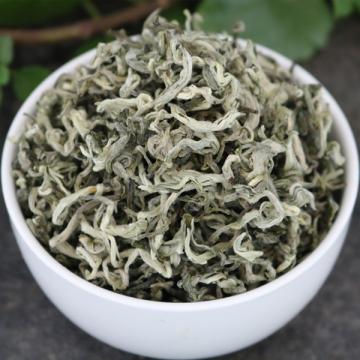 毛尖云南春尖毛峰绿茶茗茶