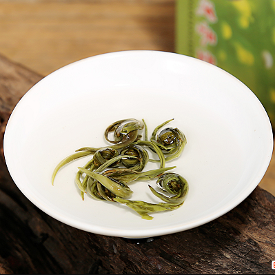 小龙珠茉莉花浓香茉莉花