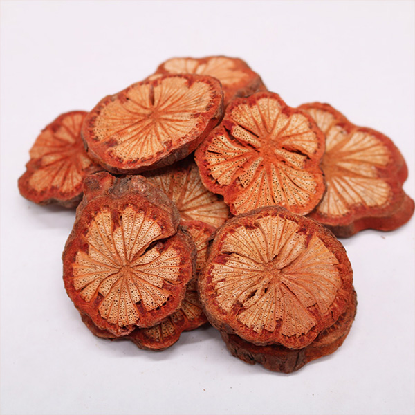 大血藤红皮藤红藤切片