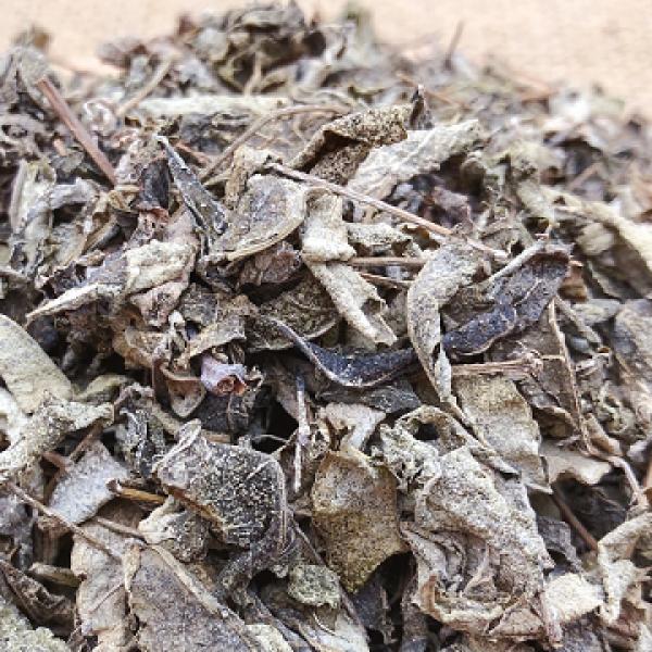 张家界藤茶茅岩莓白藤茶