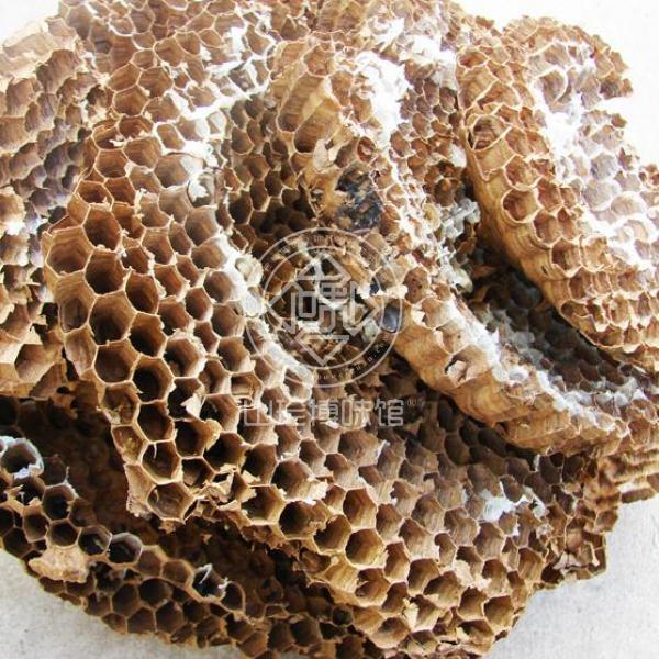 马蜂巢蜂窝蜂房野生胡蜂巢