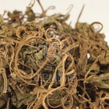 精选独脚青天葵正宗青天葵