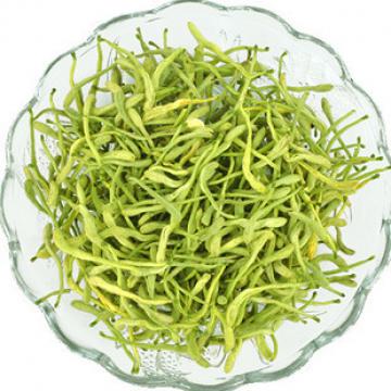 野生金银花茶忍冬金银花