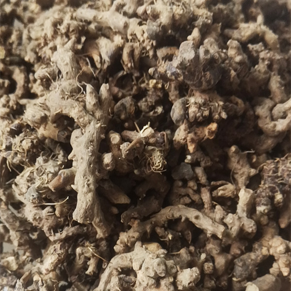 纯仙灵脾根野生仙灵脾根