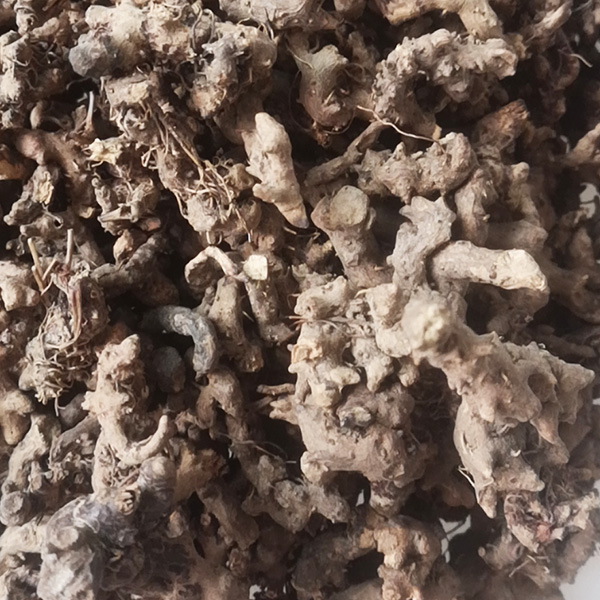 纯仙灵脾根野生仙灵脾根