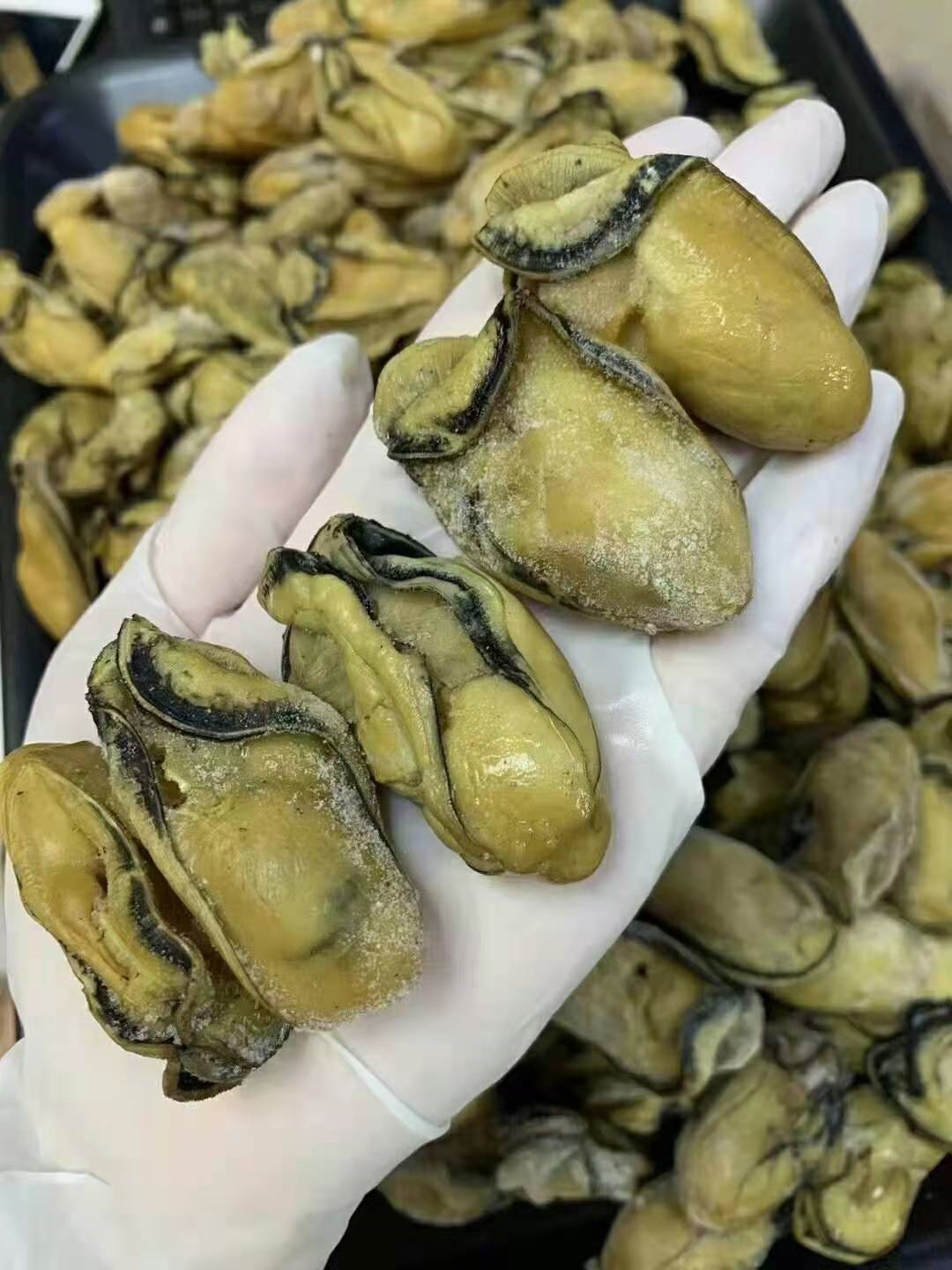 50头新鲜生晒大金蚝海蛎干