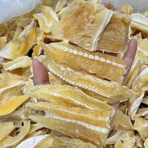 鱼翅肉海鲜鱼翅深海鱼翅