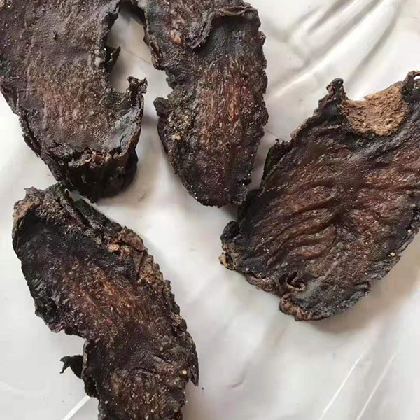 阿拉善油苁蓉片精选野生肉苁蓉