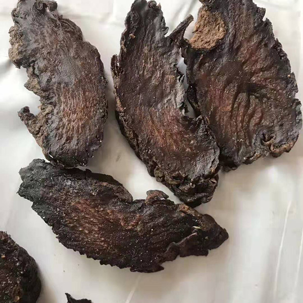 阿拉善油苁蓉片精选野生肉苁蓉