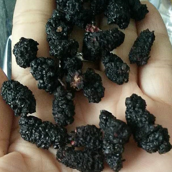 新疆桑葚野生黑桑葚干