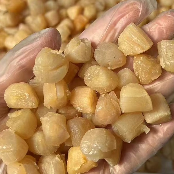 煲汤料野生干贝干货500g