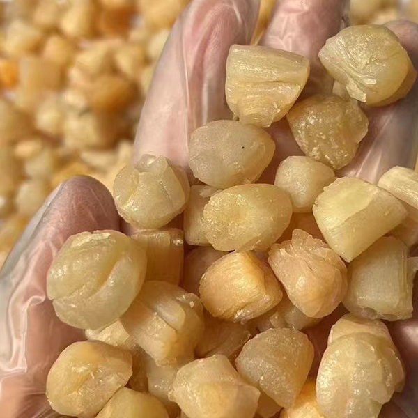 煲汤料野生干贝干货500g