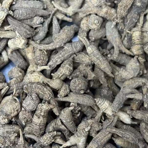 精选野生花旗参黑皮西洋参