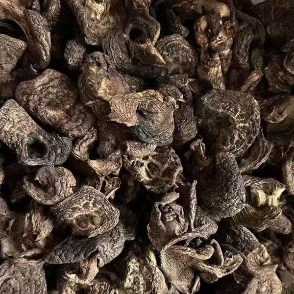 云南黑虎掌野生虎掌菌