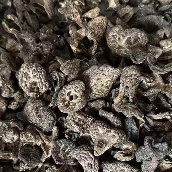 云南黑虎掌野生虎掌菌