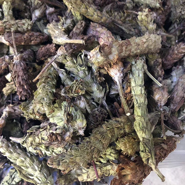精选夏枯草野生夏枯草干
