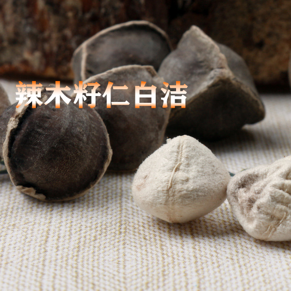 印度辣木籽仁大粒辣木籽