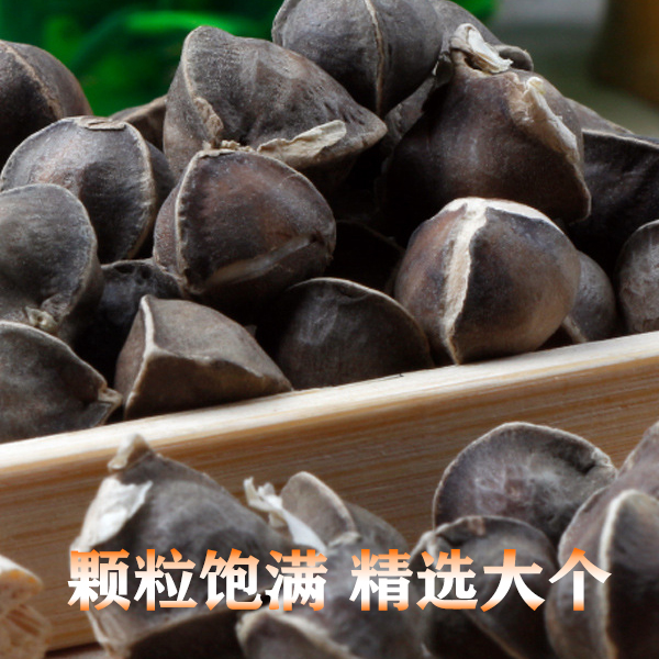 印度辣木籽仁大粒辣木籽