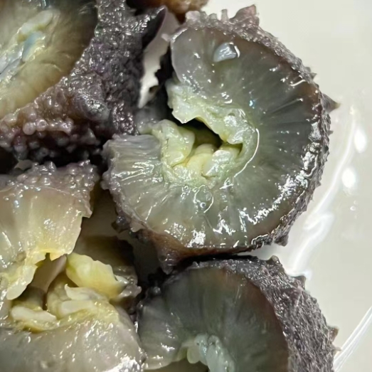 大连海参低零添加无挂冰国标鲜食海参