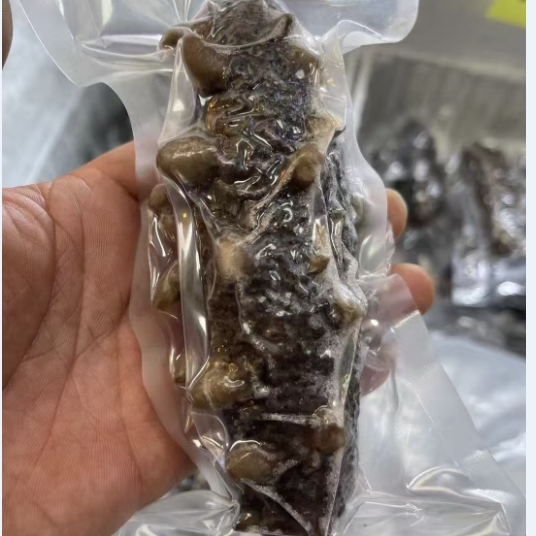 大连海参低零添加无挂冰国标鲜食海参