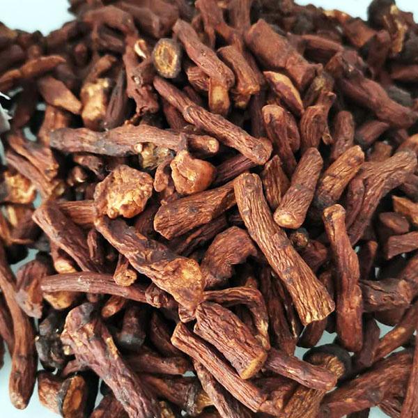 长白山蒲公英根双重清热可搭配菊花茶