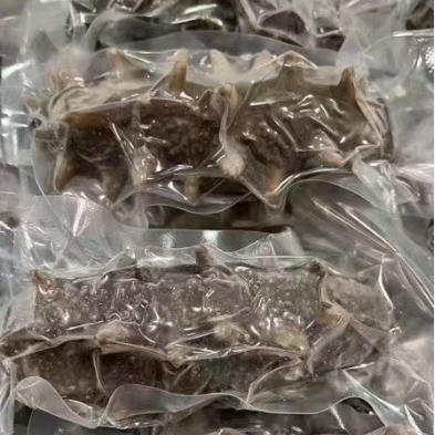 大连国标鲜食海参三斤装海参滋补礼盒