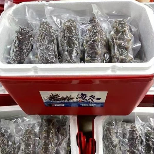 大连国标鲜食海参三斤装海参滋补礼盒