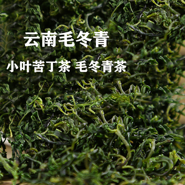 嫩叶毛冬青茶刮油解腻促进新陈代谢